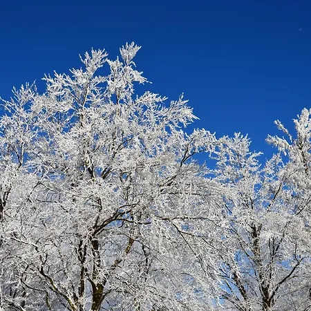 Zur Glocke Apartman Winterberg
