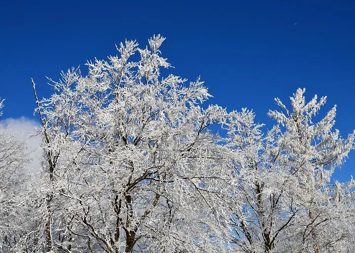 Zur Glocke Lejlighed Winterberg